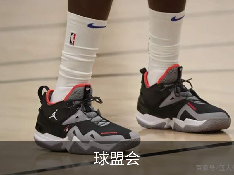 球盟会介绍